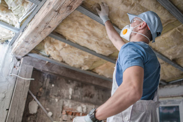 Best Best Insulation Companies  in Harvard, NE