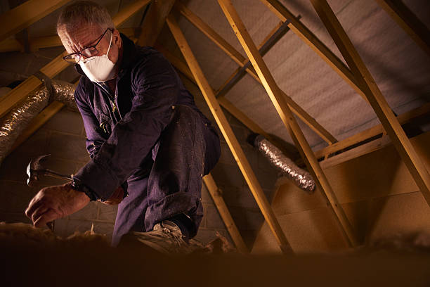 Best Wall Insulation Contractor  in Harvard, NE